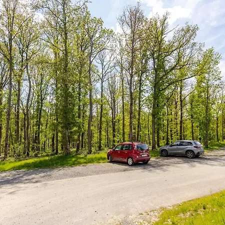 Comfortable In With Petanque Court