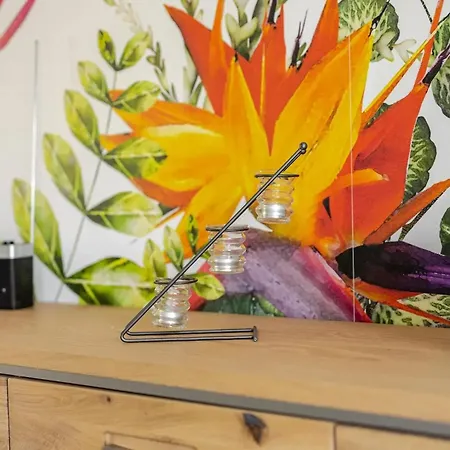 Comfortable In With Petanque Court シャレー *